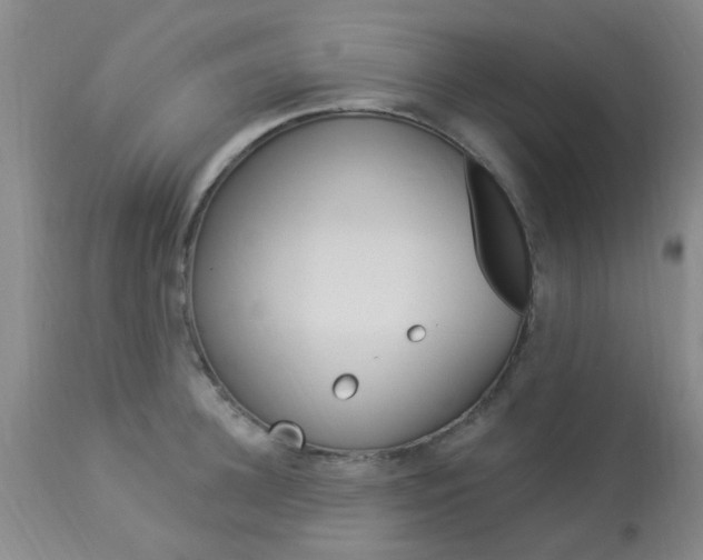 X0000114020948200910021013