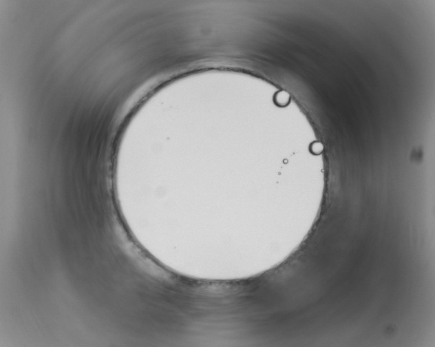 X0000114020950200910021013