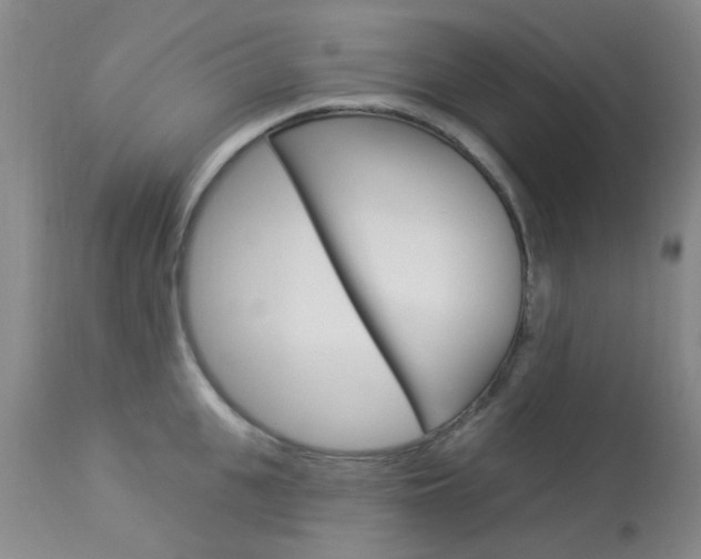 X0000114020951200910021013