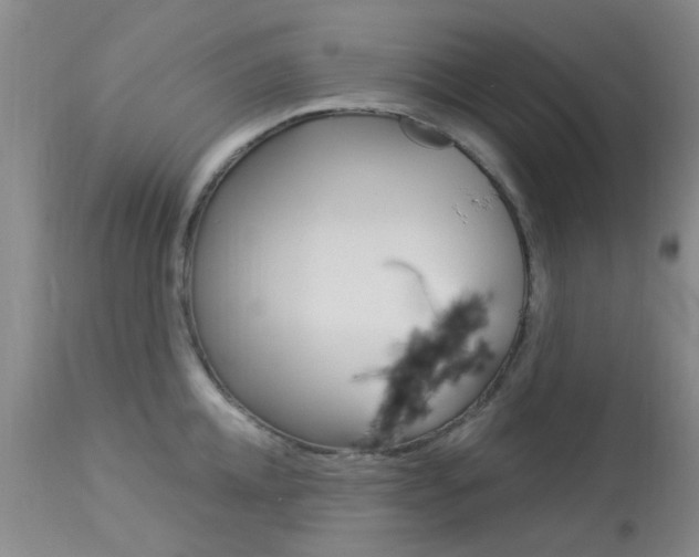 X0000114020952200910021013