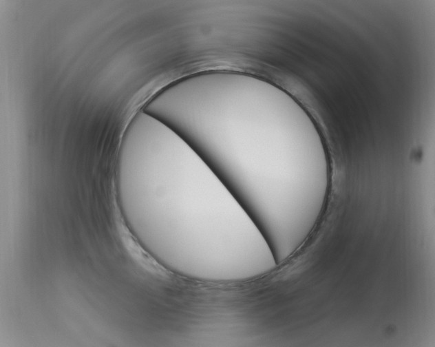 X0000114020954200910021013