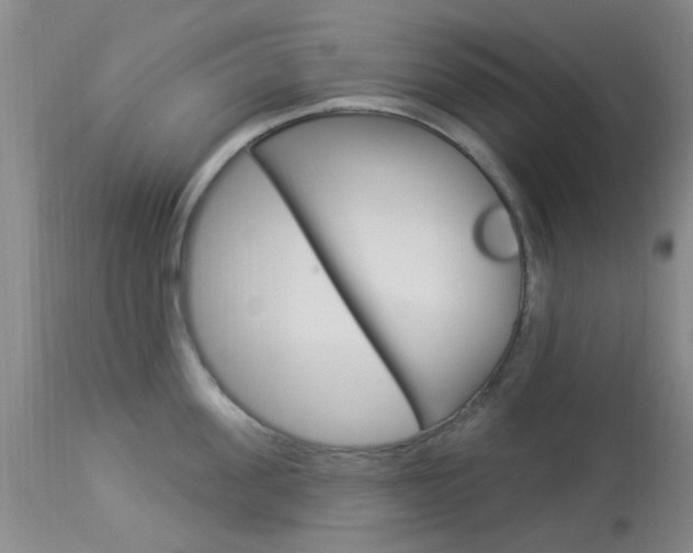 X0000114020955200910021013