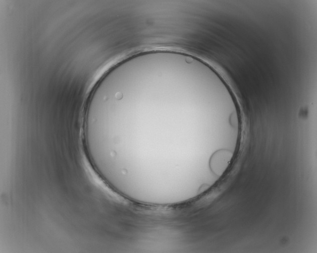 X0000114020957200910021013