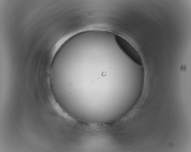 X0000114020960200910021013