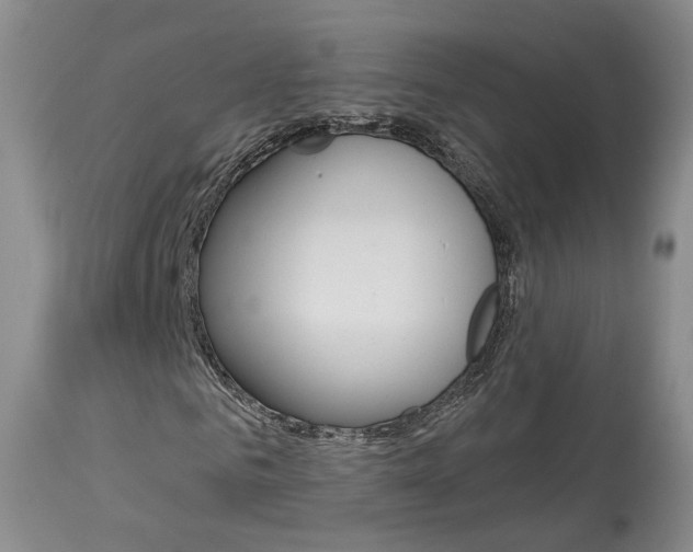 X0000114020961200910021013