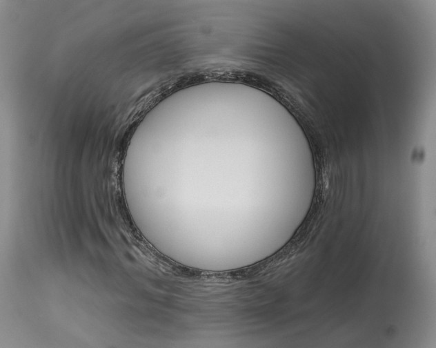 X0000114020964200910021013