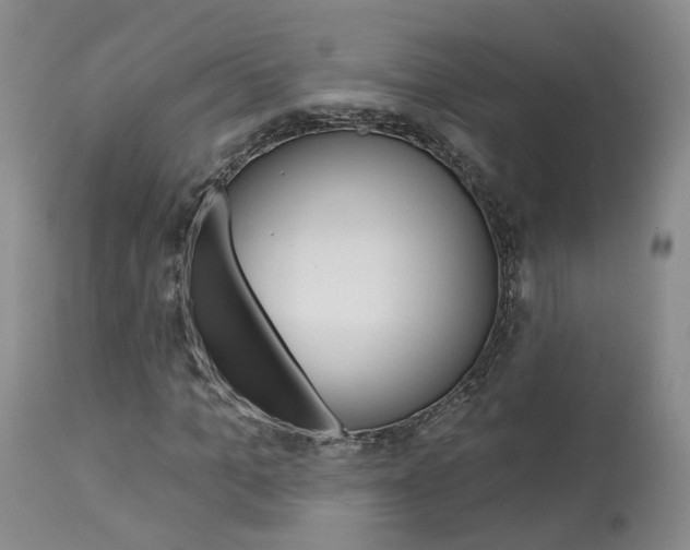 X0000114020965200910021013