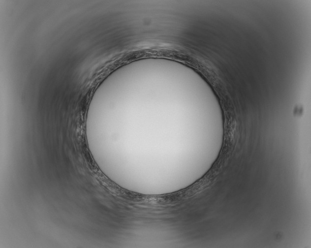 X0000114020966200910021013