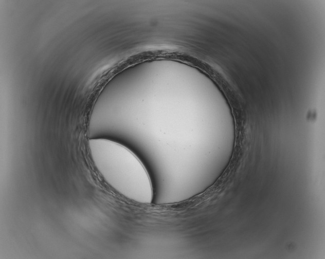X0000114020967200910021012