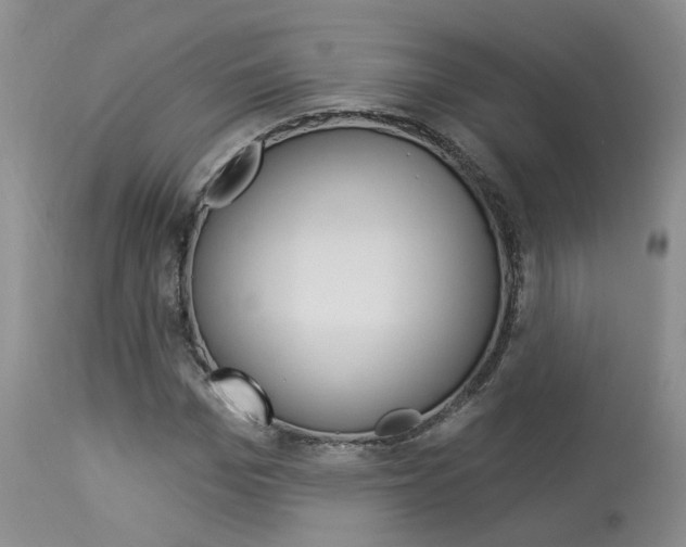 X0000114020969200910021012