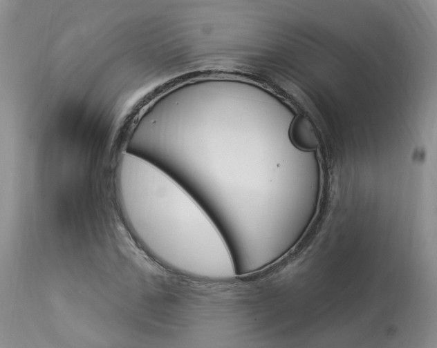 X0000114020971200910021012
