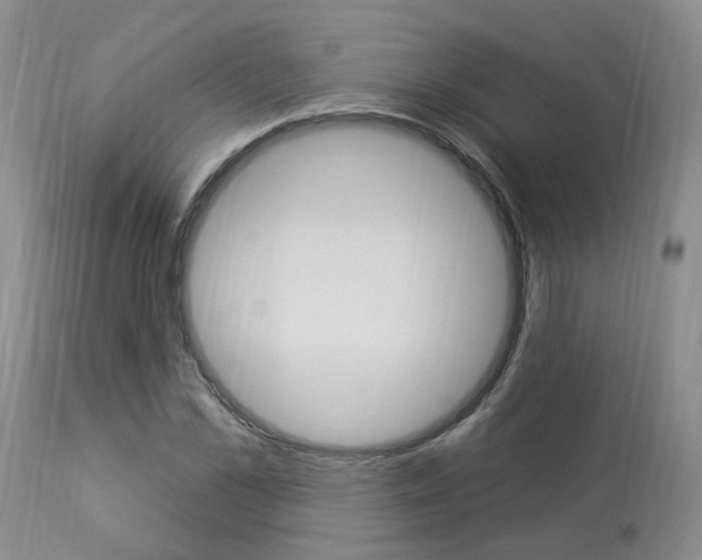 X0000114020973200910021012