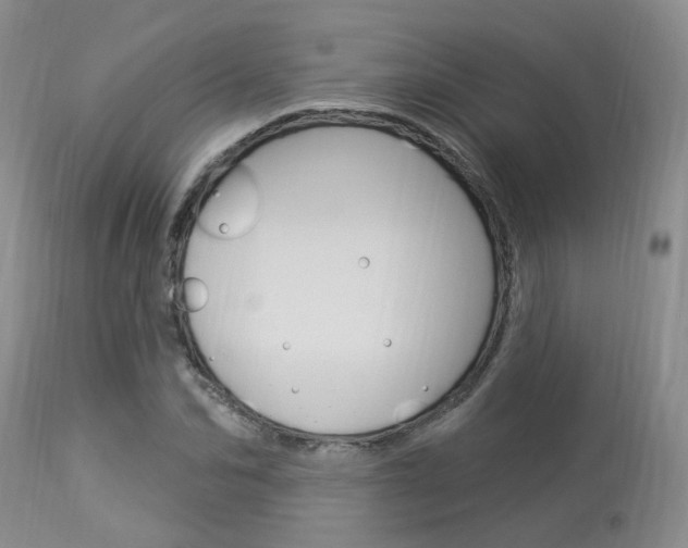 X0000114020974200910021012