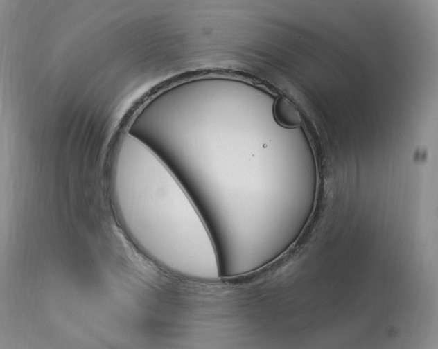 X0000114020975200910021012