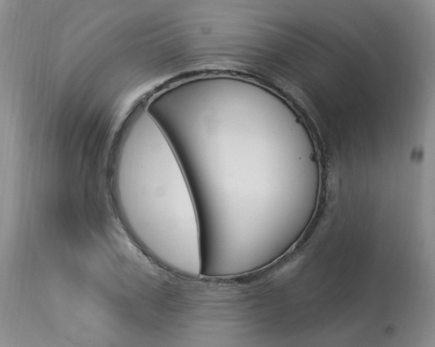X0000114020979200910021012