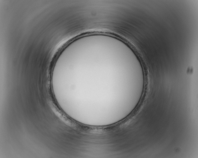 X0000114020982200910021012