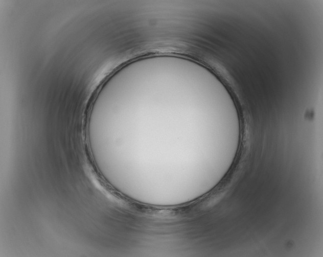 X0000114020986200910021012