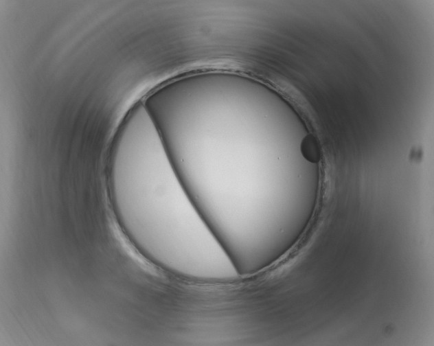 X0000114020989200910021012