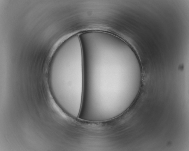 X0000114020995200910021012