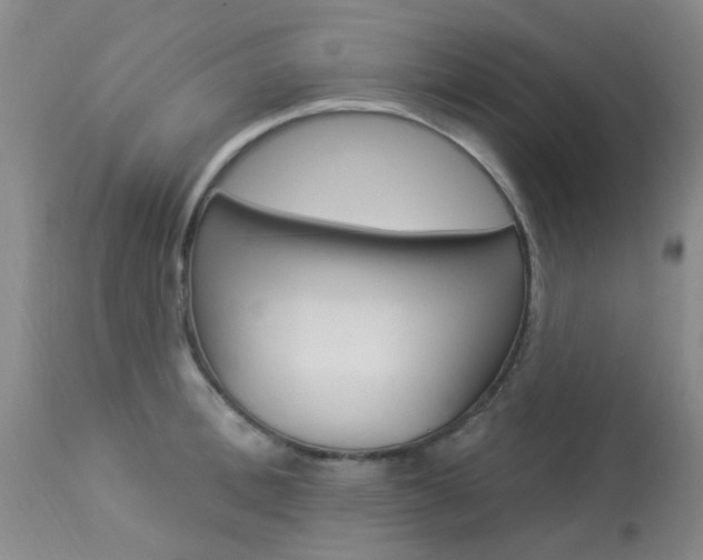 X0000114020996200910021012