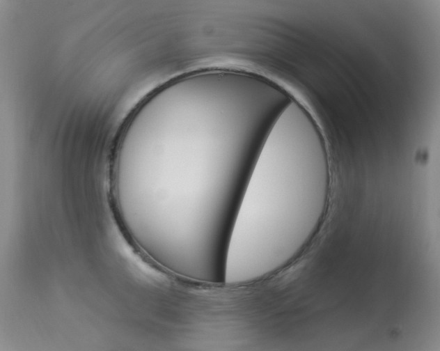 X0000114020999200910021012