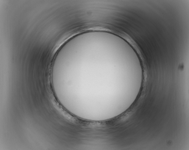 X0000114021002200910021012