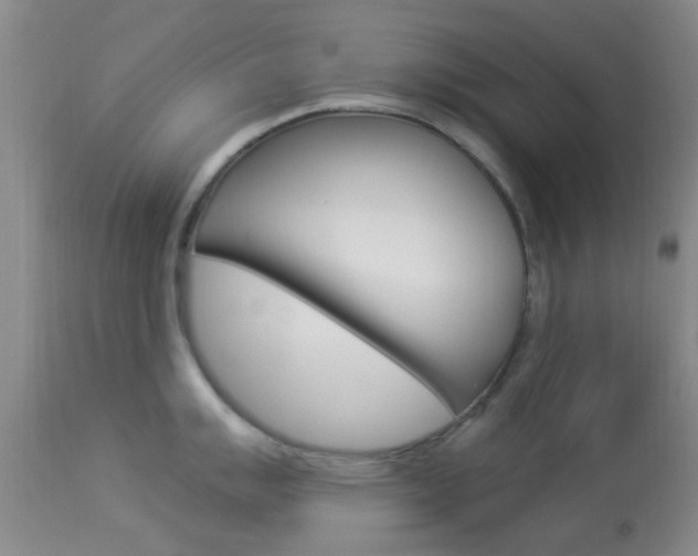 X0000114021007200910021012