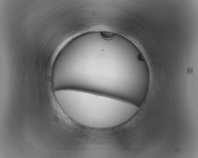 X0000114021008200910021012