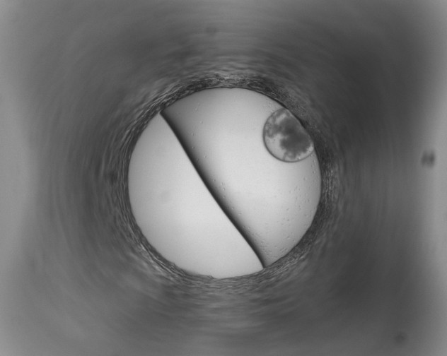 X0000114021009200910021011