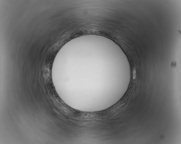 X0000114021011200910021011
