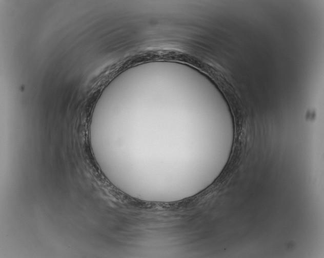 X0000114021014200910021011