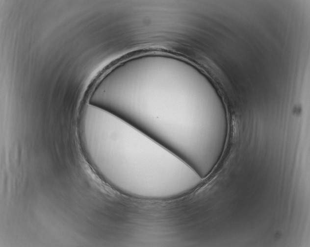 X0000114021020200910021011