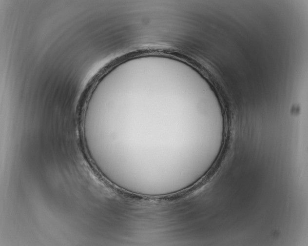 X0000114021022200910021011