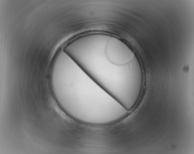 X0000114021029200910021012