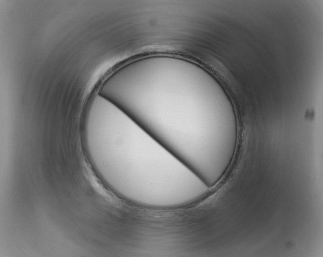 X0000114021030200910021012