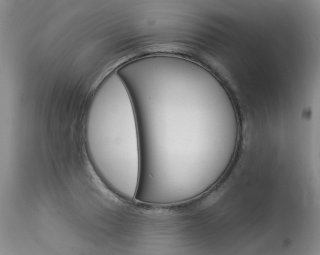 X0000114021033200910021012