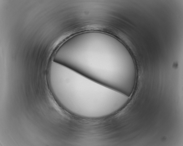 X0000114021034200910021012