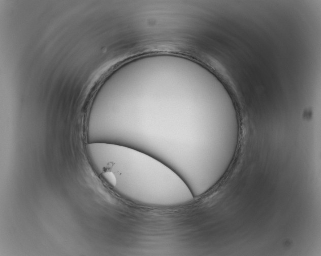 X0000114021035200910021012