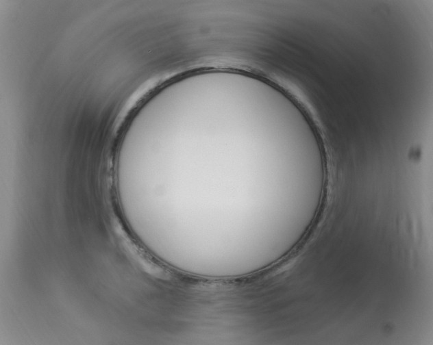 X0000114021040200910021012