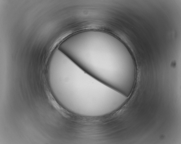 X0000114021042200910021012