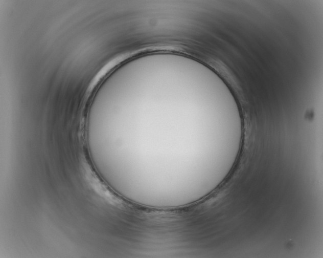 X0000114021044200910021012