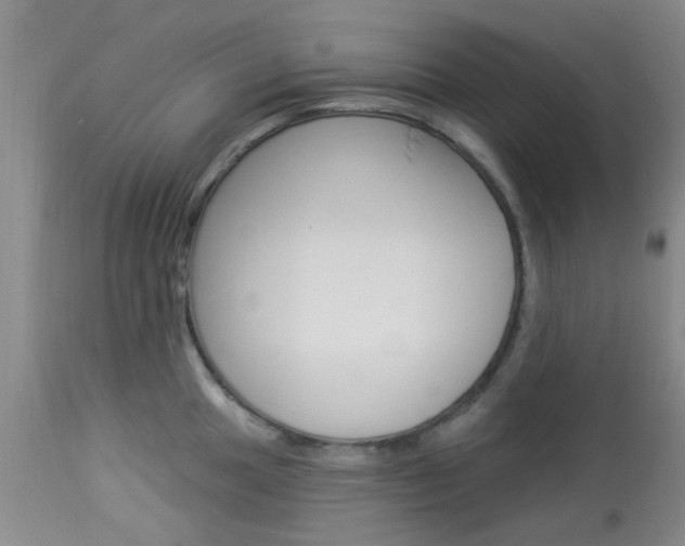X0000114021049200910021012