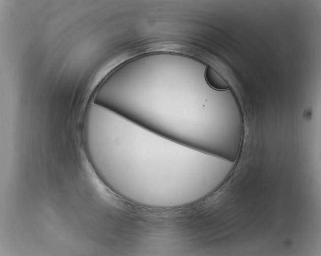 X0000114021050200910021012