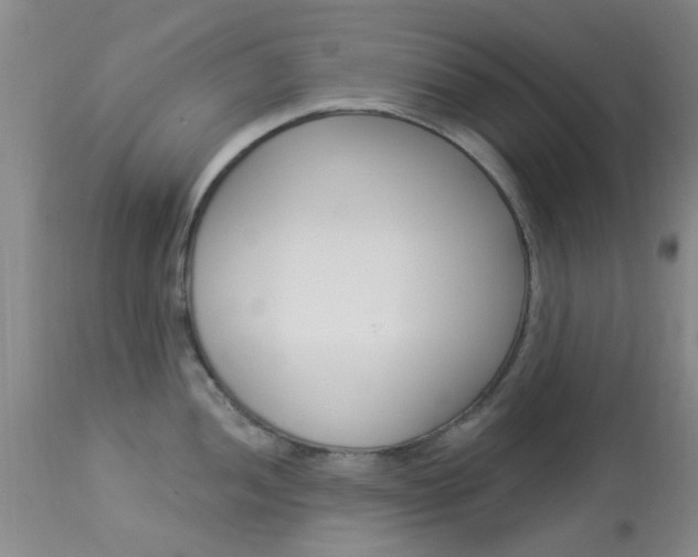 X0000114021052200910021012