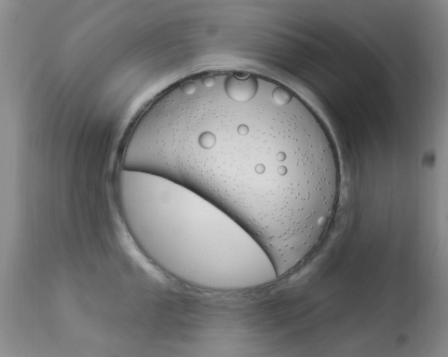 X0000114021053200910021012