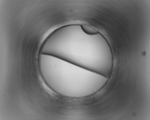 X0000114021054200910021012