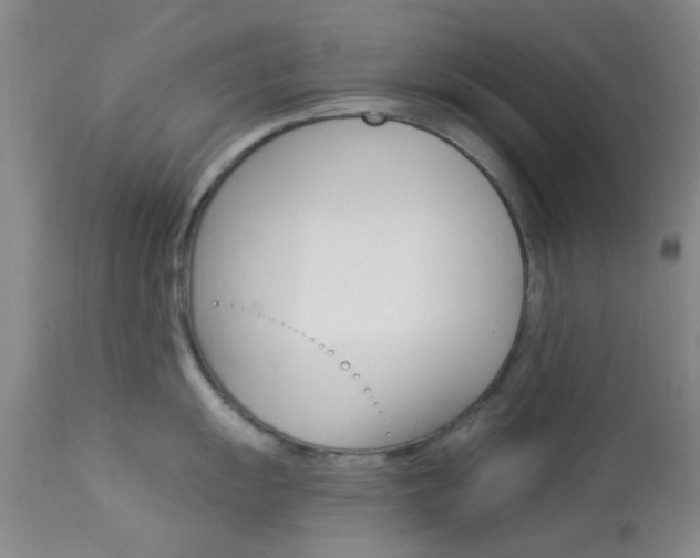 X0000114021055200910021012
