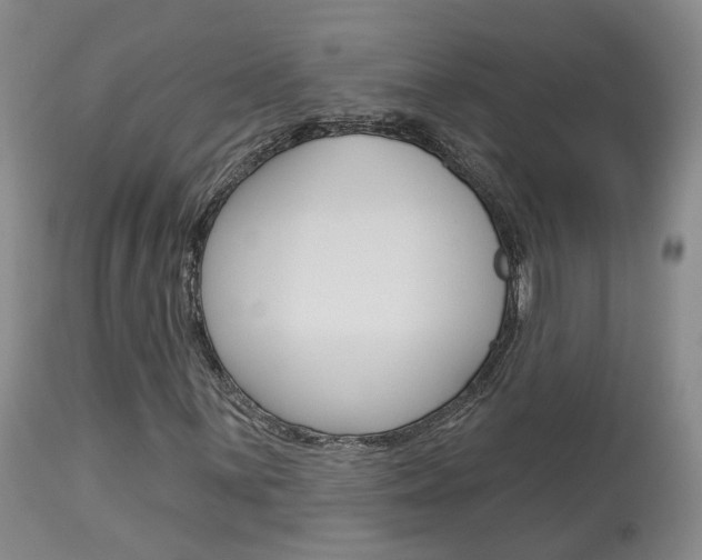 X0000114021059200910021011