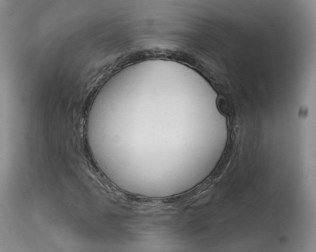 X0000114021061200910021011