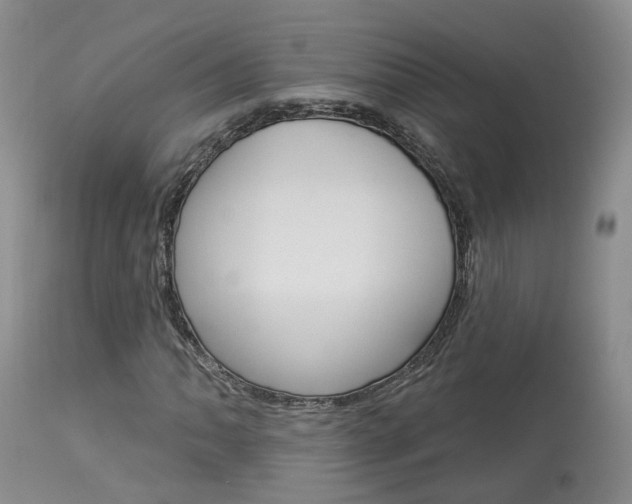 X0000114021062200910021011